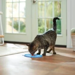 Frisco Non-skid Flower Silicone Dog & Cat Lick Mat, Blue -Frisco Sales Store 363393 PT3. AC SS1800 V1660750521