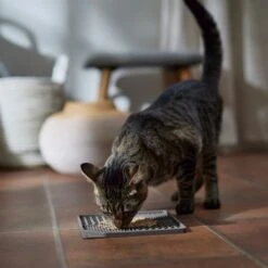 Frisco Non-skid Square Silicone Dog & Cat Lick Mat -Frisco Sales Store 363402 PT3. AC SS1800 V1665170734