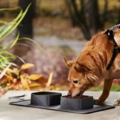 Frisco Travel Silicone Dog & Cat Travel Double Diner Bowl -Frisco Sales Store 363405 PT2. AC SS1800 V1664558631