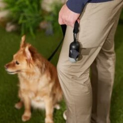 Frisco Dog Poop Bag Dispenser, 15 Count 13 Frisco Dog Poop Bag Dispenser, 15 Count -Frisco Sales Store 363846 PT5. AC SS1800 V1669100746