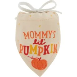 Frisco Mommy's Lil Pumpkin Small Pet Bandana -Frisco Sales Store 364460 PT4. AC SS1800 V1657657335