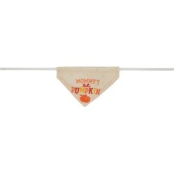 Frisco Mommy's Lil Pumpkin Small Pet Bandana -Frisco Sales Store 364460 PT5. AC SS1800 V1657657335