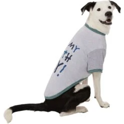 Frisco It's My Birth Day Dog & Cat T-Shirt -Frisco Sales Store 368808 PT4. AC SS1800 V1669101517