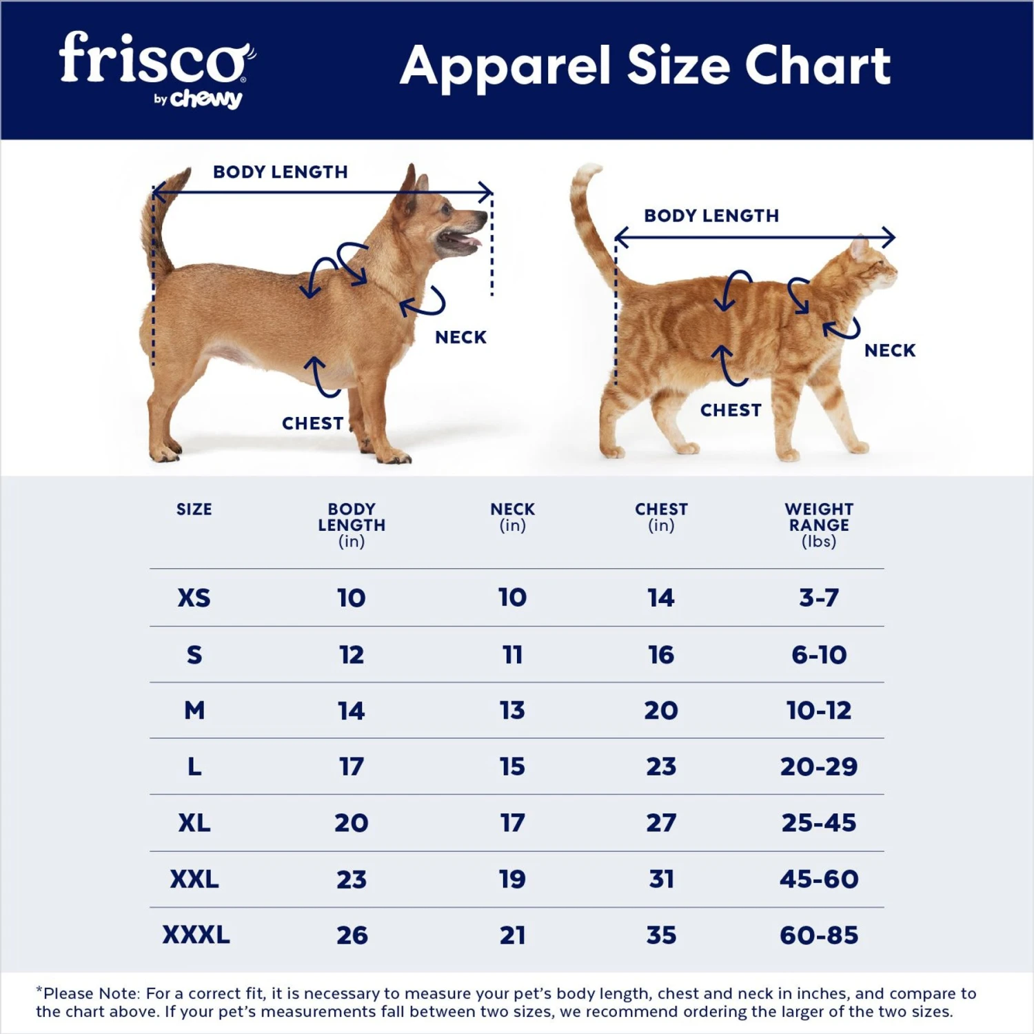 Frisco Tie-Dye Dog & Cat T-Shirt 2 Frisco Tie-Dye Dog & Cat T-Shirt - Image 2