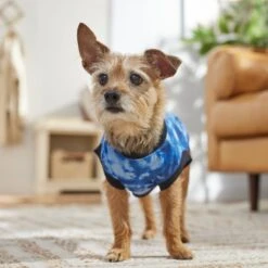 Frisco Tie-Dye Dog & Cat T-Shirt 12 Frisco Tie-Dye Dog & Cat T-Shirt -Frisco Sales Store 368816 PT7. AC SS1800 V1664994331