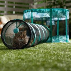 Frisco Mesh Outdoor Extra Wide Pop-up Cat Playpen & Tunnel 14 Frisco Mesh Outdoor Extra Wide Pop-up Cat Playpen & Tunnel -Frisco Sales Store 371212 PT6. AC SS1800 V1663094505