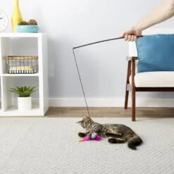 Blue Buffalo Baby Blue Savory Salmon Kitten Treats, 2-oz Bag & Frisco Bird With Feathers Teaser Wand Cat Toy With Catnip 17 Blue Buffalo Baby Blue Savory Salmon Kitten Treats, 2-oz Bag & Frisco Bird With Feathers Teaser Wand Cat Toy With Catnip -Frisco Sales Store 501918 PT8. AC SS1800 V1648516909