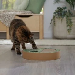 Frisco Interactive Maze & Scratch Cardboard Cat Toy Box With Catnip, Palms 10 Frisco Interactive Maze & Scratch Cardboard Cat Toy Box With Catnip, Palms -Frisco Sales Store 506130 PT4. AC SS1800 V1669212028