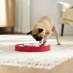 Frisco Bento Interactive Puzzle Dog Toy, Moderate -Frisco Sales Store 506226 PT5. AC SS1800 V1674664929