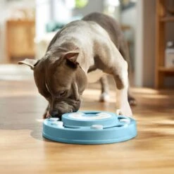 Frisco Two Tier Interactive Puzzle Dog Toy, Easy 12 Frisco Two Tier Interactive Puzzle Dog Toy, Easy -Frisco Sales Store 506370 PT5. AC SS1800 V1674671566