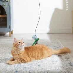Frisco Leaf & Dragonfly Interchangeable Teaser Wand Cat Toy With Catnip 6 Frisco Leaf & Dragonfly Interchangeable Teaser Wand Cat Toy With Catnip -Frisco Sales Store 525982 PT3. AC SS1800 V1669148131