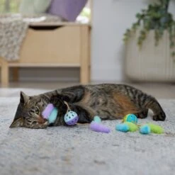 Frisco Fabric & Play Plastic Balls Cat Toy -Frisco Sales Store 526030 PT3. AC SS1800 V1669148132
