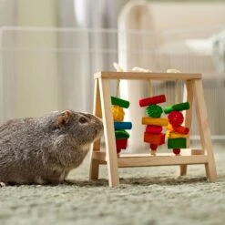 Frisco Activity Play Table Small Pet Toy -Frisco Sales Store 536846 PT4. AC SS1800 V1668902495