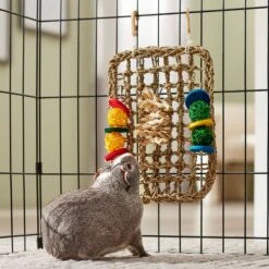 Frisco Spotted Cornleaf Wall Playmat Small Pet Toy -Frisco Sales Store 536878 PT3. AC SS1800 V1668902494