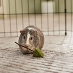 Frisco Hay Trees Small Pet Toy -Frisco Sales Store 536894 PT3. AC SS1800 V1668902550