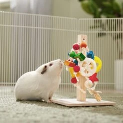 Frisco Activity Play Post Small Pet Toy -Frisco Sales Store 536910 PT3. AC SS1800 V1668902494