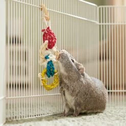 Frisco Spotted Cornleaf Twist Ring Small Pet Toy -Frisco Sales Store 536942 PT3. AC SS1800 V1668902494