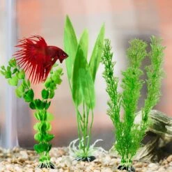 Frisco Plastic Aquarium Plant Set -Frisco Sales Store 537214 PT3. AC SS1800 V1668902496