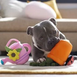 Frisco Spring Potted Plant And Watering Can Plush Squeaky Dog Toy 8 Frisco Spring Potted Plant And Watering Can Plush Squeaky Dog Toy -Frisco Sales Store 541494 PT4. AC SS1800 V1702500565