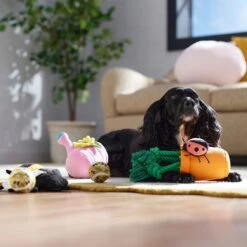 Frisco Spring Plush & Rope Variety Pack Squeaky Dog Toy -Frisco Sales Store 541526 PT4. AC SS1800 V1702500565