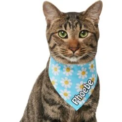 Frisco Personalized Blue Daisy Bandana -Frisco Sales Store 555206 PT6. AC SS1800 V1669839922