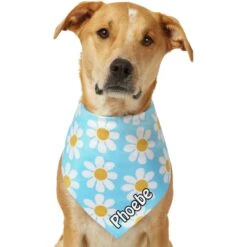 Frisco Personalized Blue Daisy Bandana -Frisco Sales Store 555206 PT7. AC SS1800 V1669839925