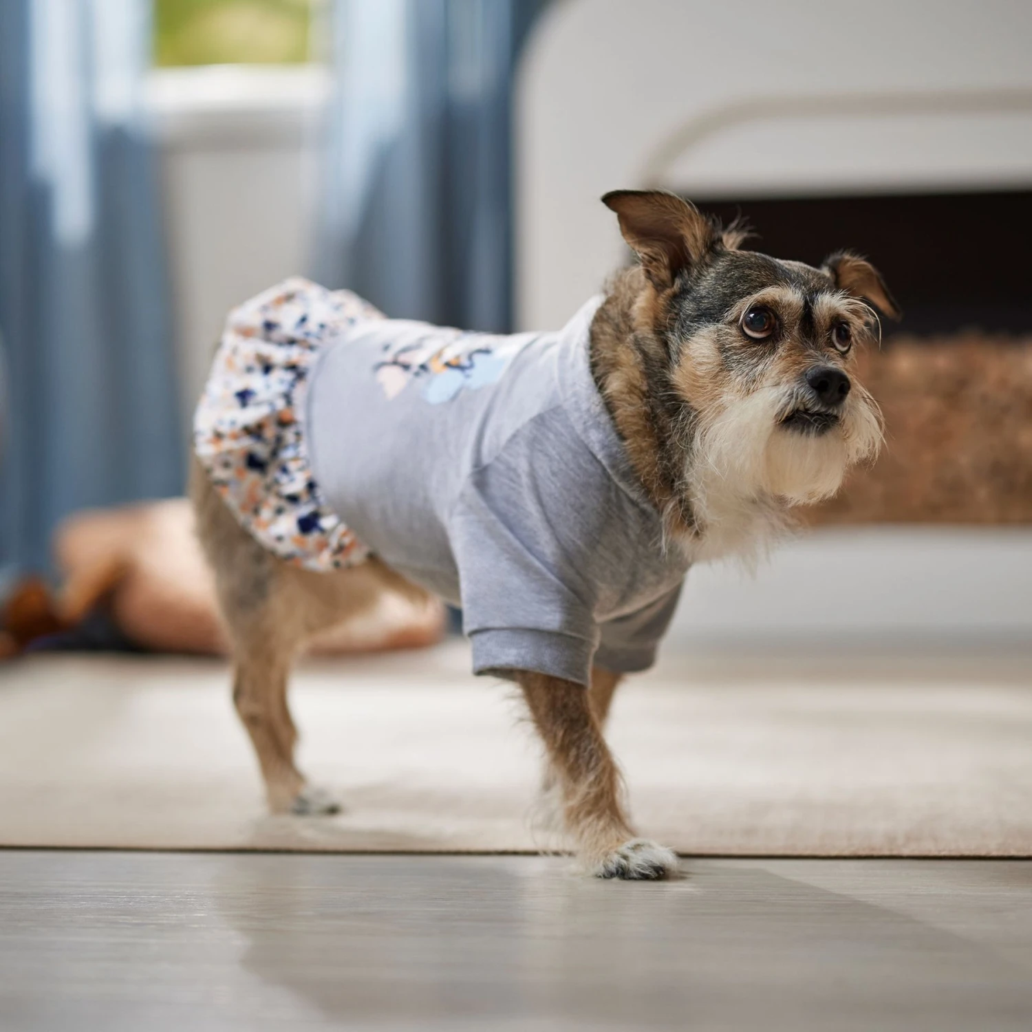 Frisco Stay Wild Dog & Cat Hoodie 7 Frisco Stay Wild Dog & Cat Hoodie - Image 7