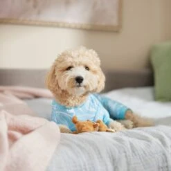 Frisco Blue Ocean Waves Dog & Cat Jersey PJs -Frisco Sales Store 556142 PT5. AC SS1800 V1674828705