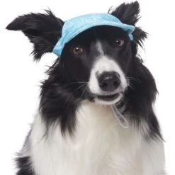 Frisco Blue Ocean Waves 30 + UPF Dog & Cat Beach Cap 10 Frisco Blue Ocean Waves 30 + UPF Dog & Cat Beach Cap -Frisco Sales Store 556182 PT3. AC SS1800 V1677530963