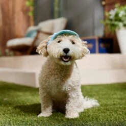 Frisco Blue Ocean Waves 30 + UPF Dog & Cat Beach Cap 12 Frisco Blue Ocean Waves 30 + UPF Dog & Cat Beach Cap -Frisco Sales Store 556182 PT5. AC SS1800 V1675714092