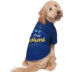 Frisco I Live In The Sunshine Dog & Cat T-Shirt -Frisco Sales Store 556222 PT3. AC SS1800 V1674829145
