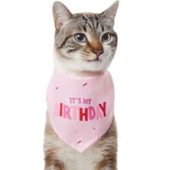 Frisco Dog & Cat Birthday Bandana 10 Frisco Dog & Cat Birthday Bandana -Frisco Sales Store 608206 PT2. AC SS1800 V1676644511