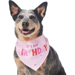 Frisco Dog & Cat Birthday Bandana 11 Frisco Dog & Cat Birthday Bandana -Frisco Sales Store 608206 PT3. AC SS1800 V1676642208