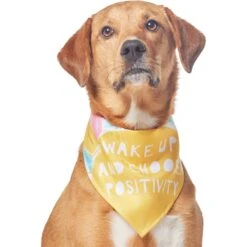 Frisco Wake Up Positive Dog & Cat Bandana -Frisco Sales Store 608230 PT3. AC SS1800 V1676643831