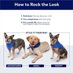 Frisco Wake Up Positive Dog & Cat Bandana -Frisco Sales Store 608230 PT7. AC SS1800 V1696278109