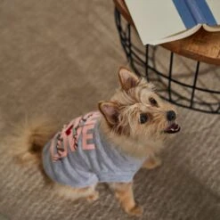 Frisco I Love Daddy Heart Dog & Cat T-Shirt 12 Frisco I Love Daddy Heart Dog & Cat T-Shirt -Frisco Sales Store 608262 PT7. AC SS1800 V1676585954