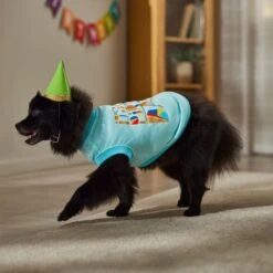 Frisco Birthday Celebration Dog & Cat T-Shirt 12 Frisco Birthday Celebration Dog & Cat T-Shirt -Frisco Sales Store 608318 PT7. AC SS1800 V1676643247