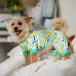 Frisco Go Bananas Dog & Cat Jersey PJs -Frisco Sales Store 608998 PT6. AC SS1800 V1676642341