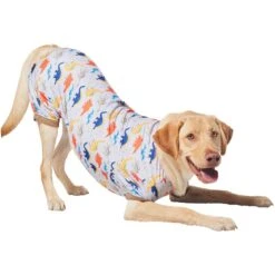 Frisco Dinosaur Dog & Cat Jersey PJs -Frisco Sales Store 609062 PT4. AC SS1800 V1681488688