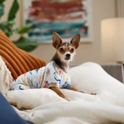 Frisco Dinosaur Dog & Cat Jersey PJs -Frisco Sales Store 609062 PT6. AC SS1800 V1676643314