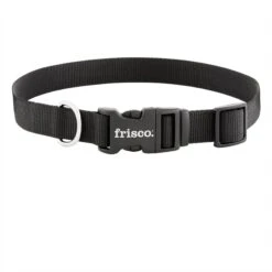 Frisco Solid Nylon Dog Leash + 4 Items -Frisco Sales Store 623766 PT5. AC SS1800 V1662735841