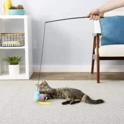 Frisco Natural Catnip & Frisco Bird With Feathers Teaser Wand Cat Toy With Catnip -Frisco Sales Store 630198 PT8. AC SS1800 V1683212566