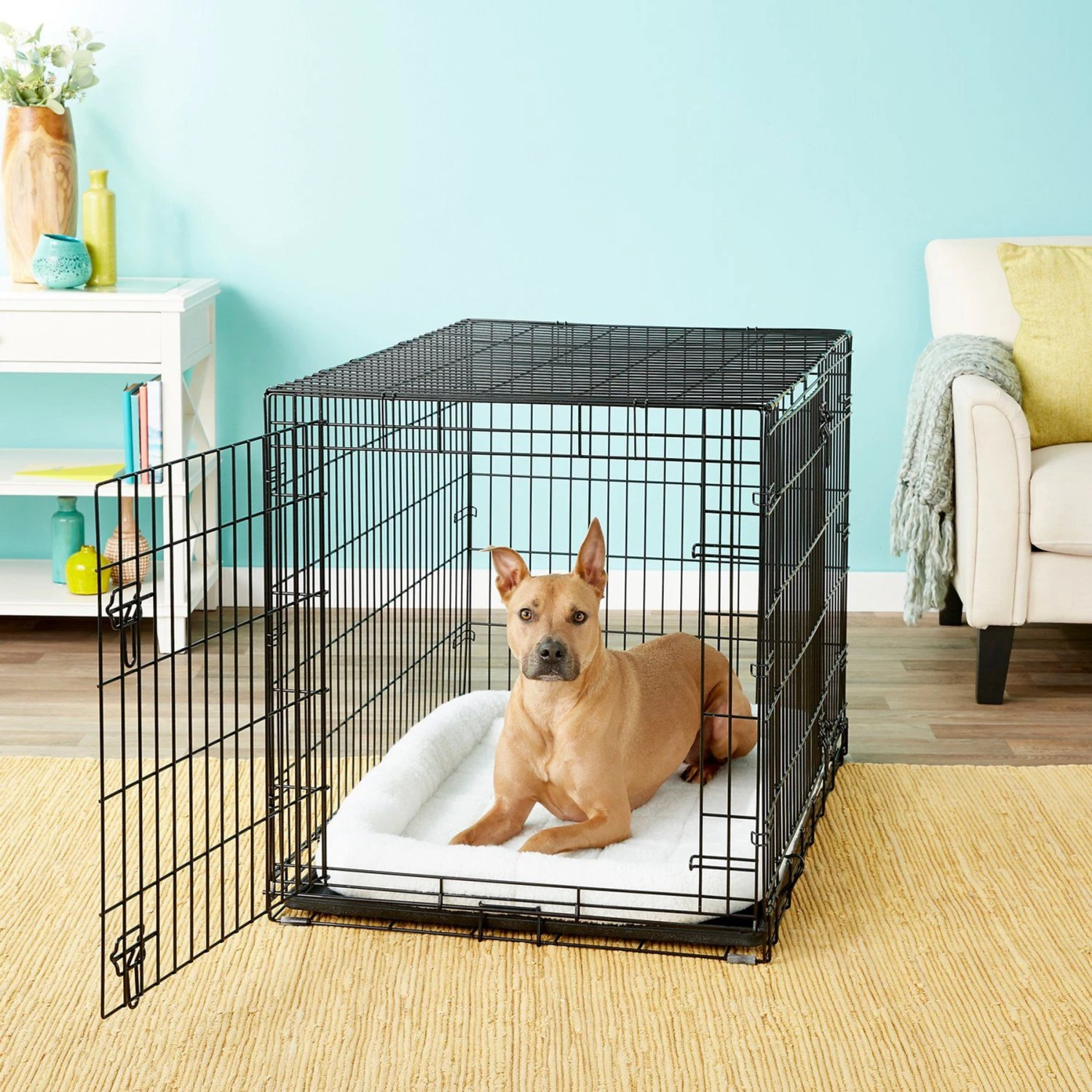 Frisco Swirl Dog Crate Mat + 3 Items 2 Frisco Swirl Dog Crate Mat + 3 Items - Image 2
