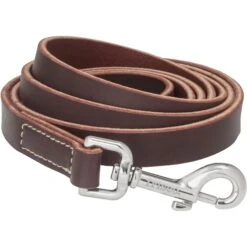 Frisco Top Grain Leather Leash + 4 Items -Frisco Sales Store 630958 PT3. AC SS1800 V1662739527