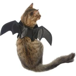 Frisco Bat Wings Dog & Cat Costume & Buckle-Down Batman Shield Polyester Dog Collar -Frisco Sales Store 638566 PT2. AC SS1800 V1663254513