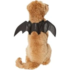 Frisco Bat Wings Dog & Cat Costume & Buckle-Down Batman Shield Polyester Dog Collar -Frisco Sales Store 638566 PT3. AC SS1800 V1663254451