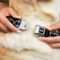 Frisco Bat Wings Dog & Cat Costume & Buckle-Down Batman Shield Polyester Dog Collar -Frisco Sales Store 638566 PT6. AC SS1800 V1663254111