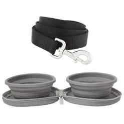 Frisco Solid Nylon Dog Leash & Frisco Travel Collapsible Silicone Dog & Cat Bowl