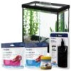 Aqueon PURE Betta Beads Aquarium Water Care + 4 Items