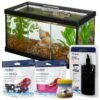 Frisco 3 Betta Aquarium With Divider/Top + 4 Items